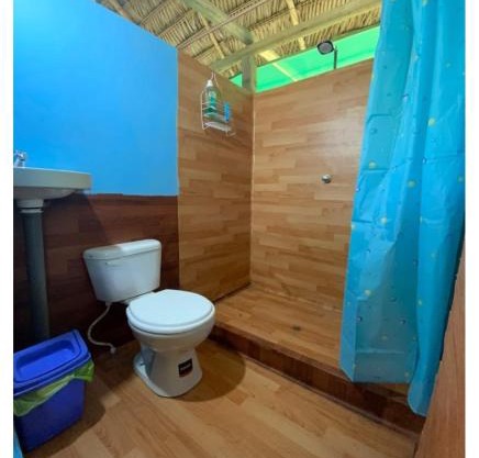 Amazon tucuxi