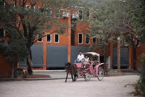 Amphawahorsefarm