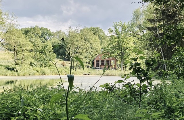 An old restored school in wild nature. Unique interiors and one-of-a-kind aura.