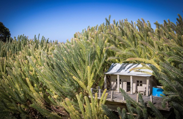 Anchors Port Campbell