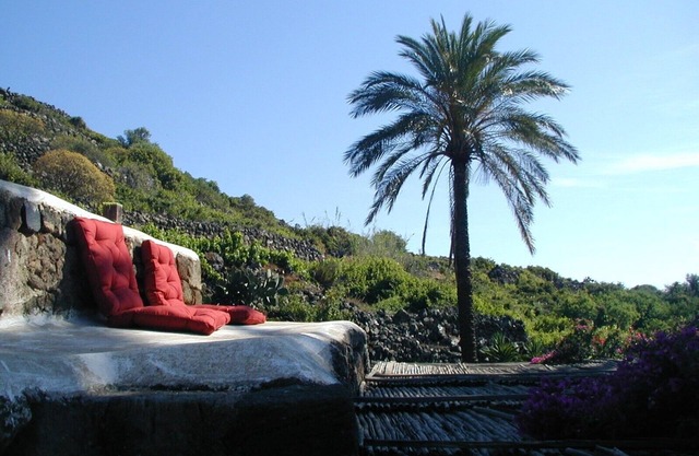 Ancient Dammuso with beautiful garden CIN: IT081014C2QNZ3XVTN