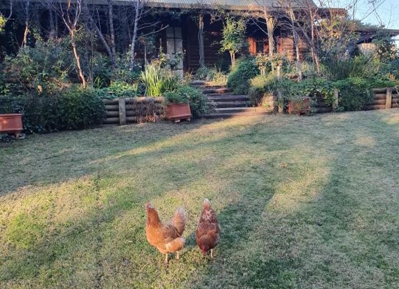 Angaston by the Winter Creek