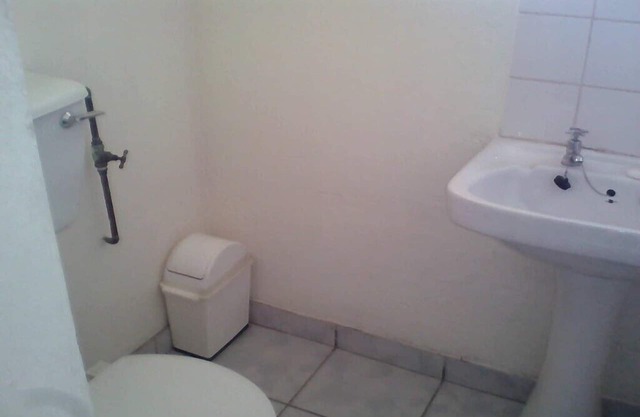 Antelope room for two