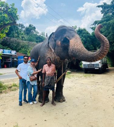 Antique lanka tours
