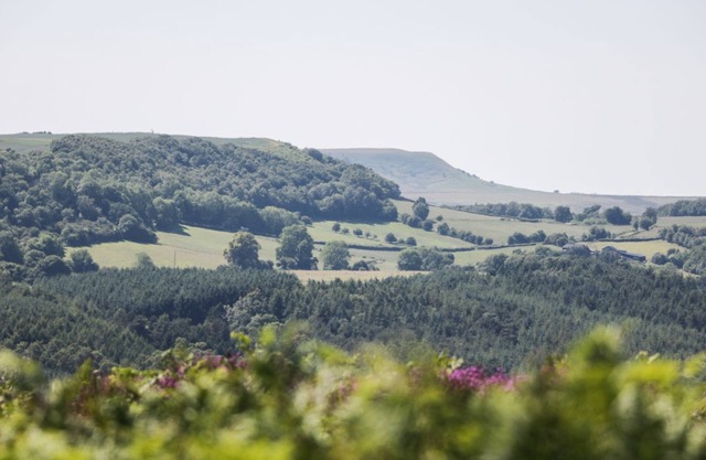 ANVIL COTTAGE, pet friendly in Kirkbymoorside