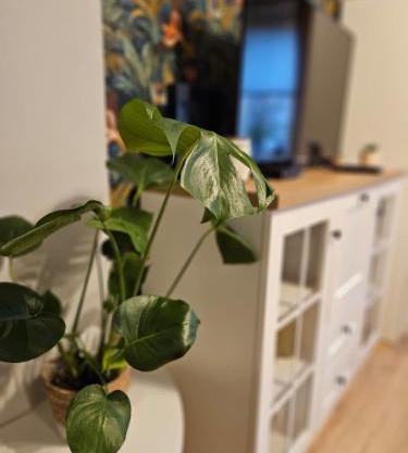 Apartament Boho