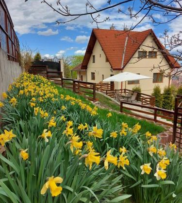 Apartament Matei