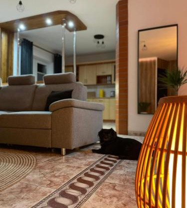 Apartament Torowa 12