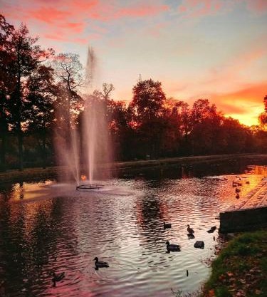 Apartament w Parku nad Kanałem