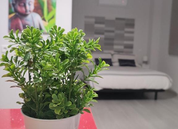 Apartamento Madrid Norte
