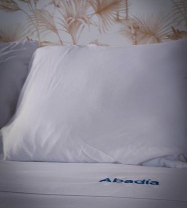 Apartamentos Abadía.