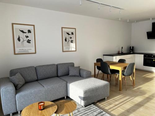 Apartamenty pod sosną