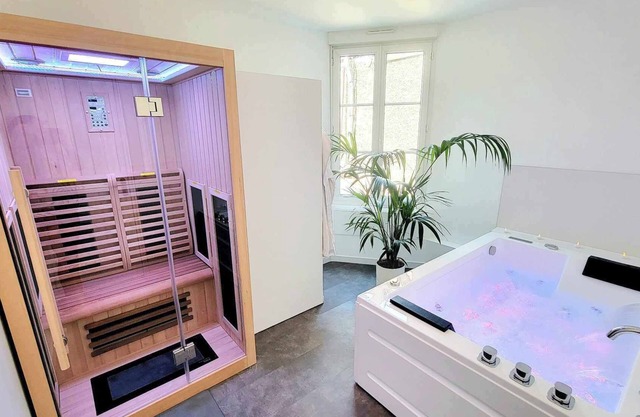 Aparthotel SPA: jacuzzi, sauna, terrace, balcony, hyper center, Place Drouet D'Erlon