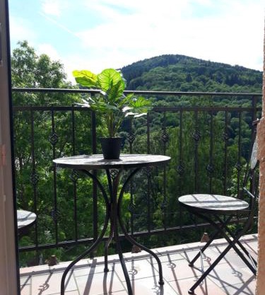 Apartmány Marie Jáchymov