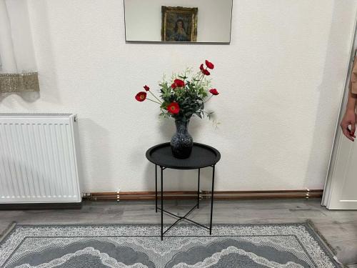 Apartman Royal sa GARAŽOM i KLIMOM