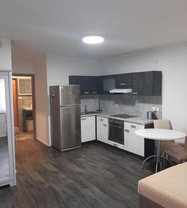 Apartman u lesa