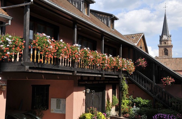 Apartment 2: Holiday apartment in a quiet private property