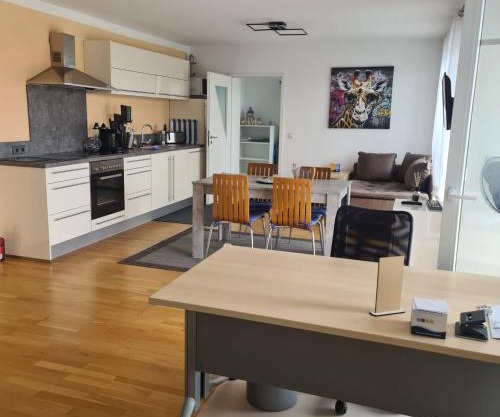 Apartment „Am Südhang“