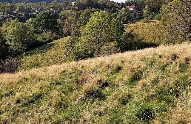 Apartment 'Bergwiesen' with Mountain View, Wi-Fi and Air Conditioning