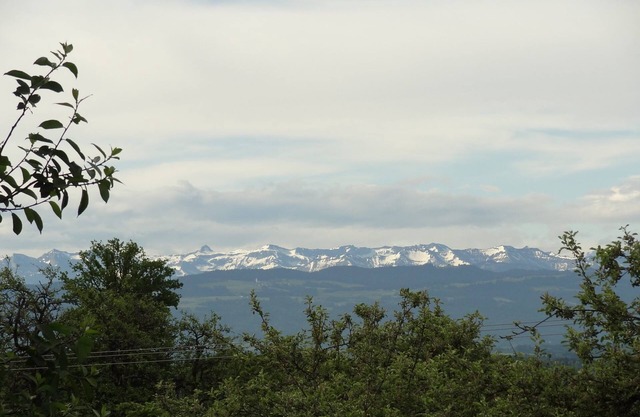 Apartment “Bergblick” on Farm with Mountain View, Wi-Fi, Balcony & Garden