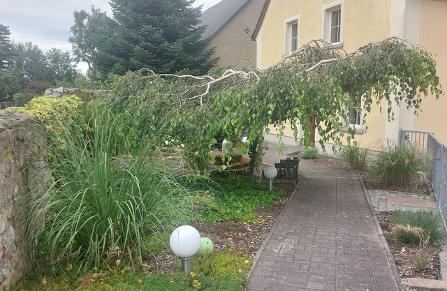 Apartment 'Birkenhof' with Wi-Fi