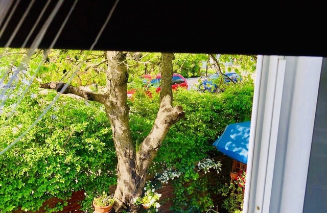 Apartment Chopina 22