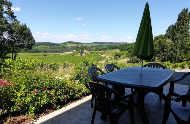 Apartment for 4 people in the vineyard
