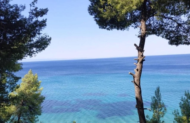 Apartment for families , by the sea