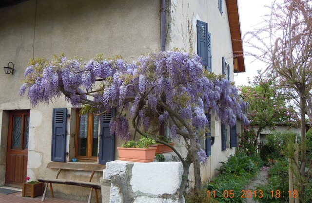 Apartment in an old farmhouse