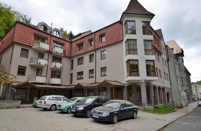Apartment in Jachymov near Ski Lift