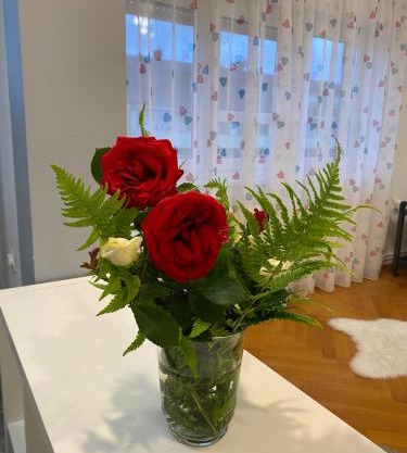 Apartment in the city center