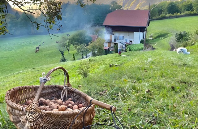 Apartment 'La Ferme Du Mont Charvin' with Mountain View, Private Terrace and Balcony