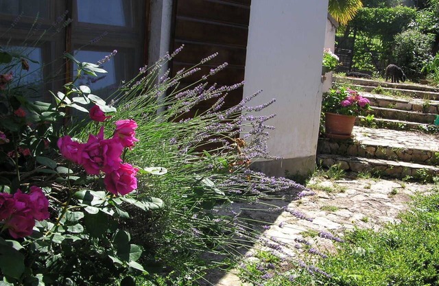 Apartment Motovun 1 comfortable, spaceous, garden, terrace. view, parking