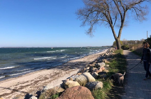 Apartment near the Baltic Sea