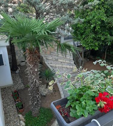 Apartment Sanja