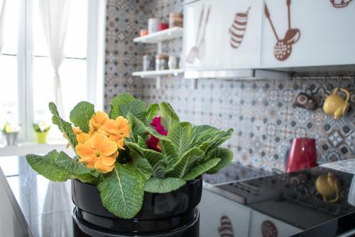 Apartment Travel hub *