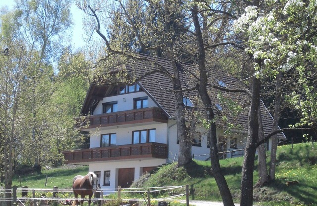 Apartment 'Ursprung' with Balcony and Wi-Fi