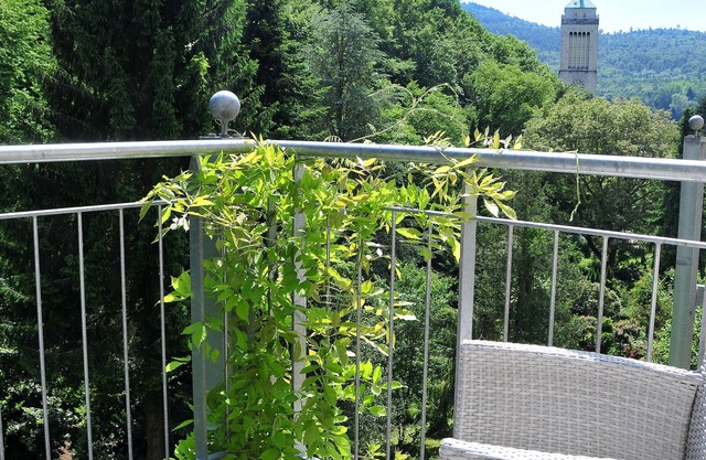 Apartment with balcony and dream view