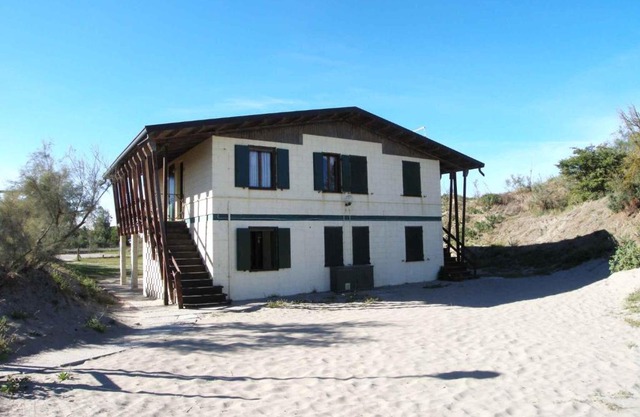 Apartments in Rosolina Mare 24957