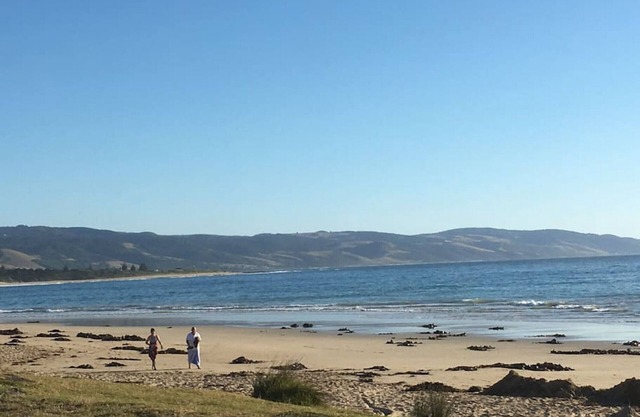 Apollo Blue Oceanview Unit -1B Free WIFI