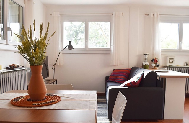App. 4 people completely renovated - Swimming pool and landscaped garden