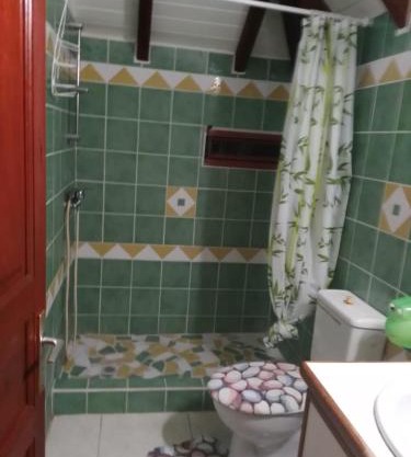 Apparemment de l'hibiscus