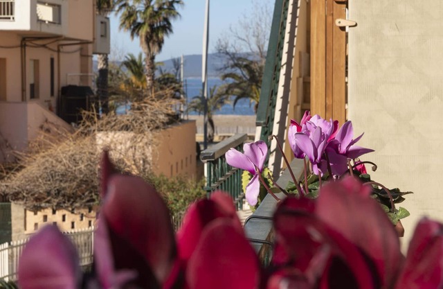 Appartamento a due passi dalle spiagge di Alghero