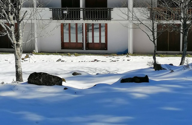 Appartement Chaleureux en Station du Mourtis