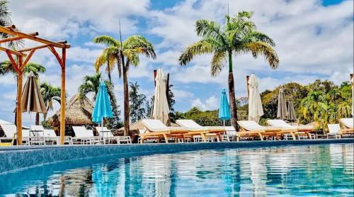 Appartement charmant à Grand-Bourg, 27 m², accès à la piscine.