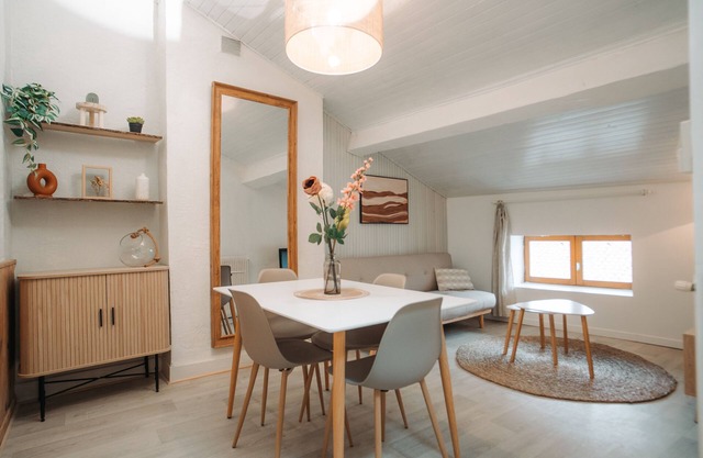 Appartement de Charme en Hypercentre du Puy-en-velay!