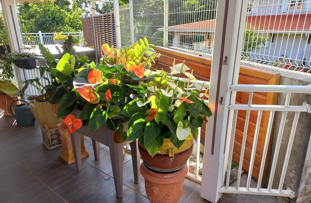 Appartement Plein Pied Situé à la Campagne à 10 mns des Plages