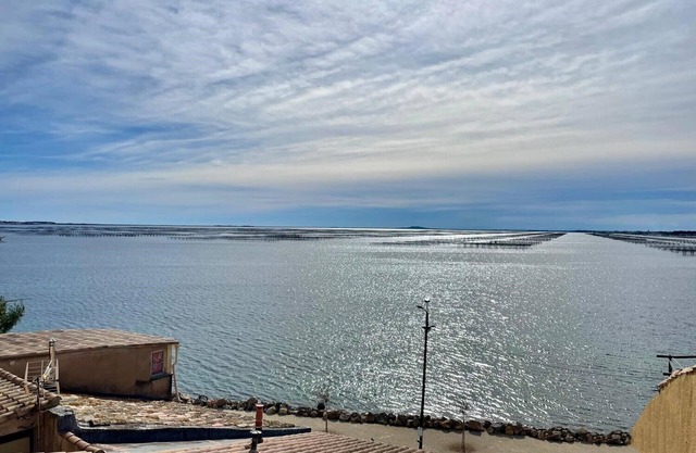 Appartement VUE SUR LA Lagune DE Thau. Linge DE Maison Fourni, Animaux Acceptes