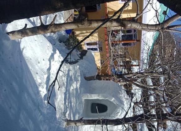 Apple cherry farm stay