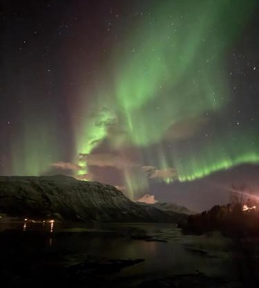 Arctic Sealodge Malangen cabin 4 Sæterbergan